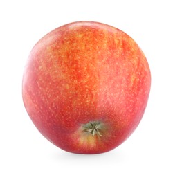 Photo of One fresh red apple isolated on white