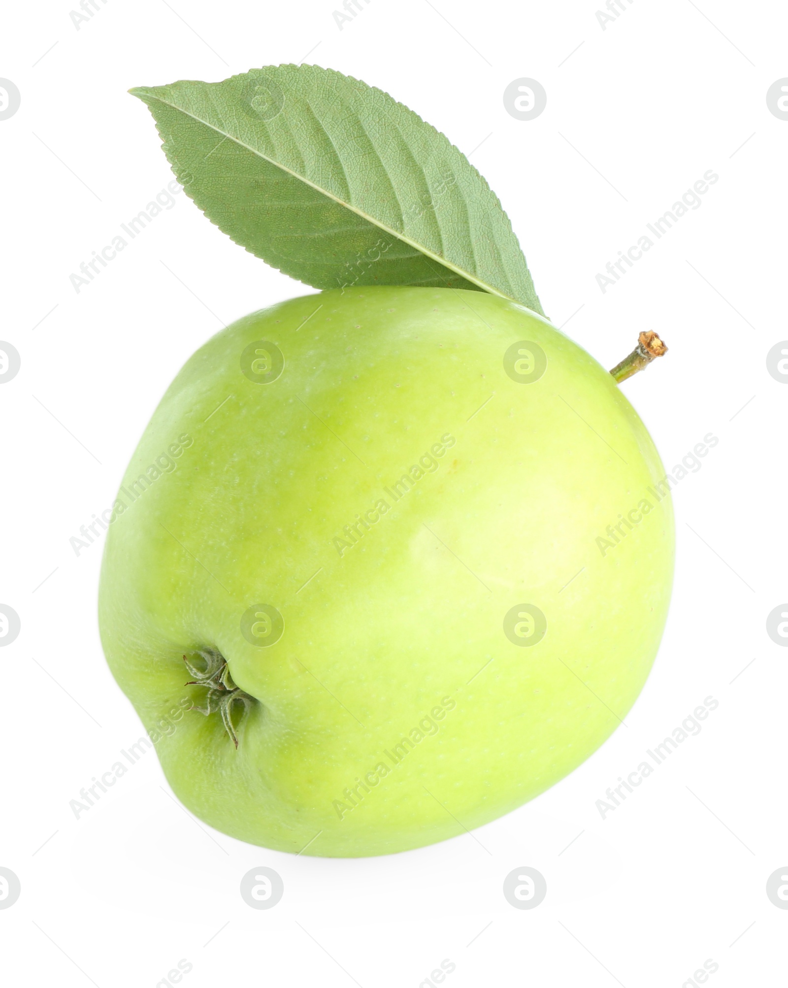 Photo of One fresh apple with green leaf isolated on white