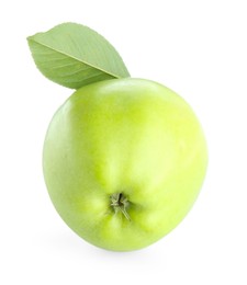 Photo of One fresh apple with green leaf isolated on white