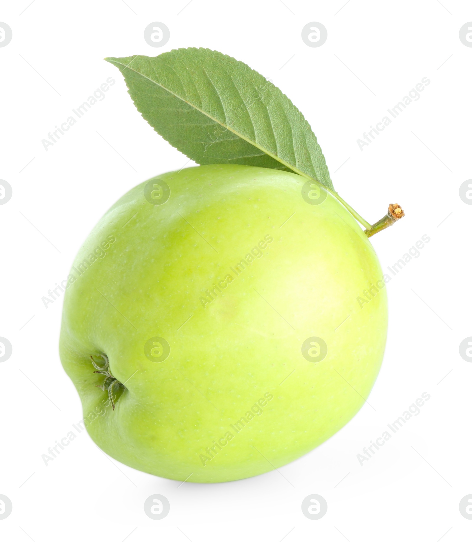 Photo of One fresh apple with green leaf isolated on white