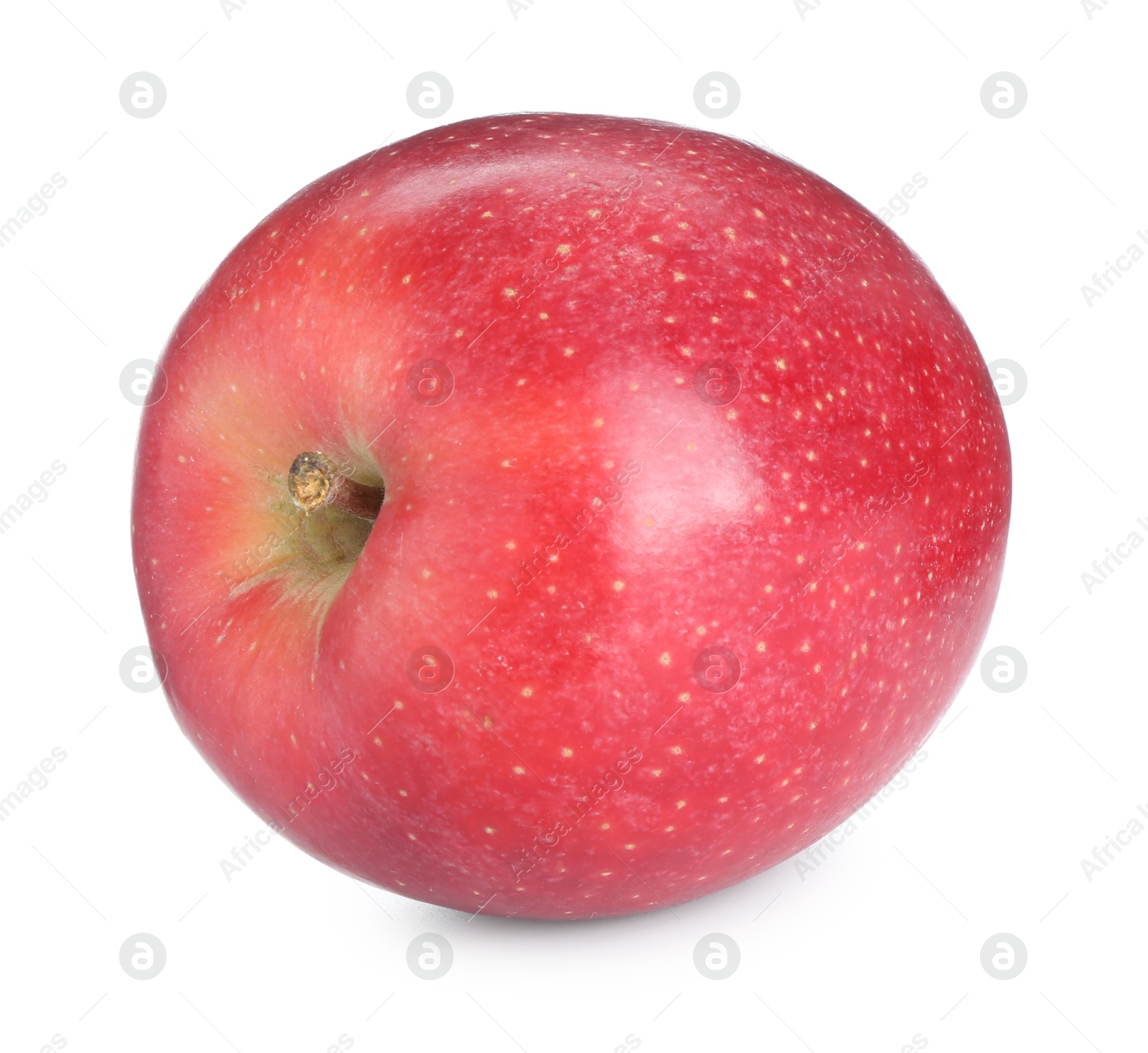 Photo of One fresh red apple isolated on white