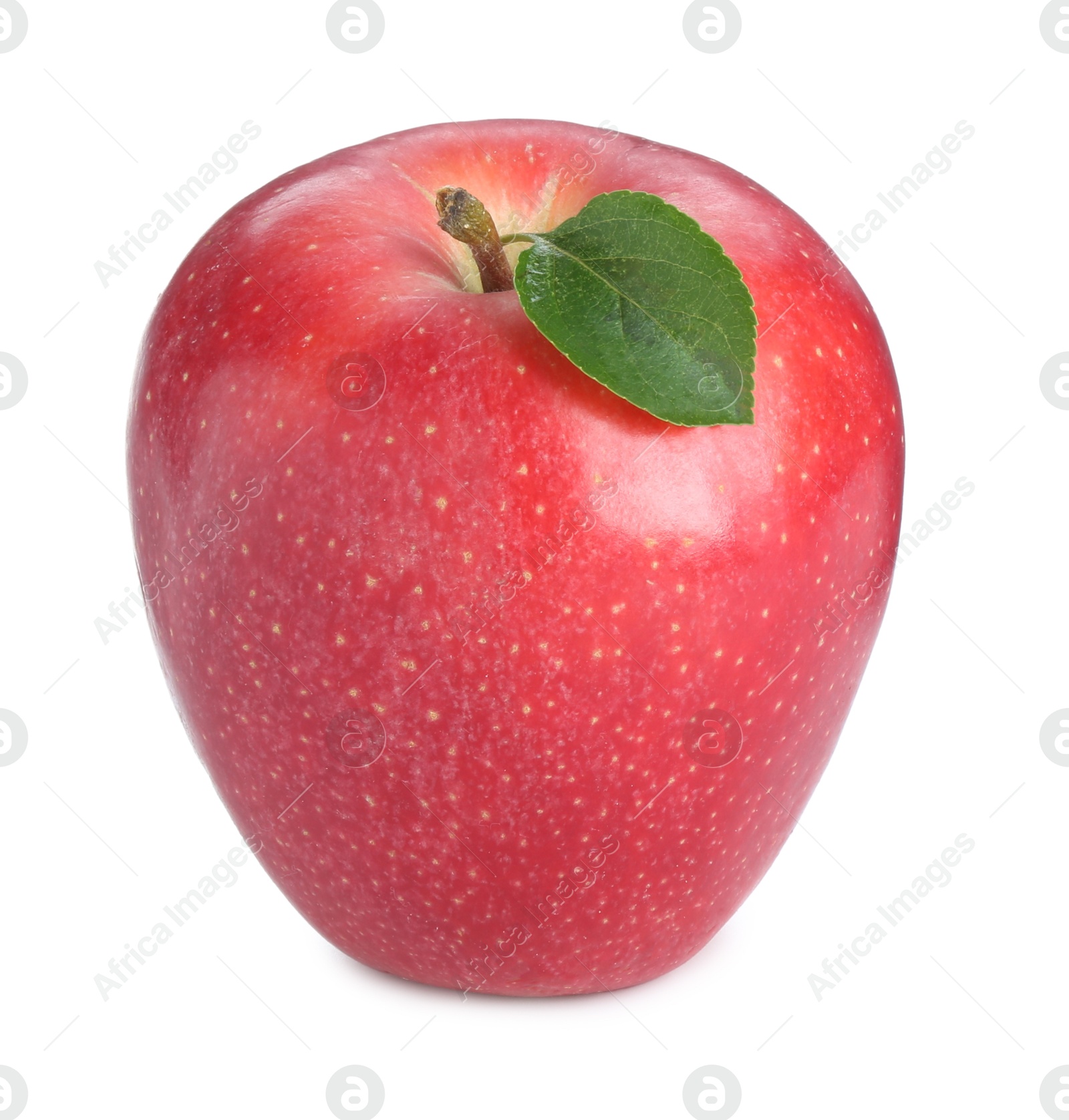 Photo of One fresh red apple isolated on white