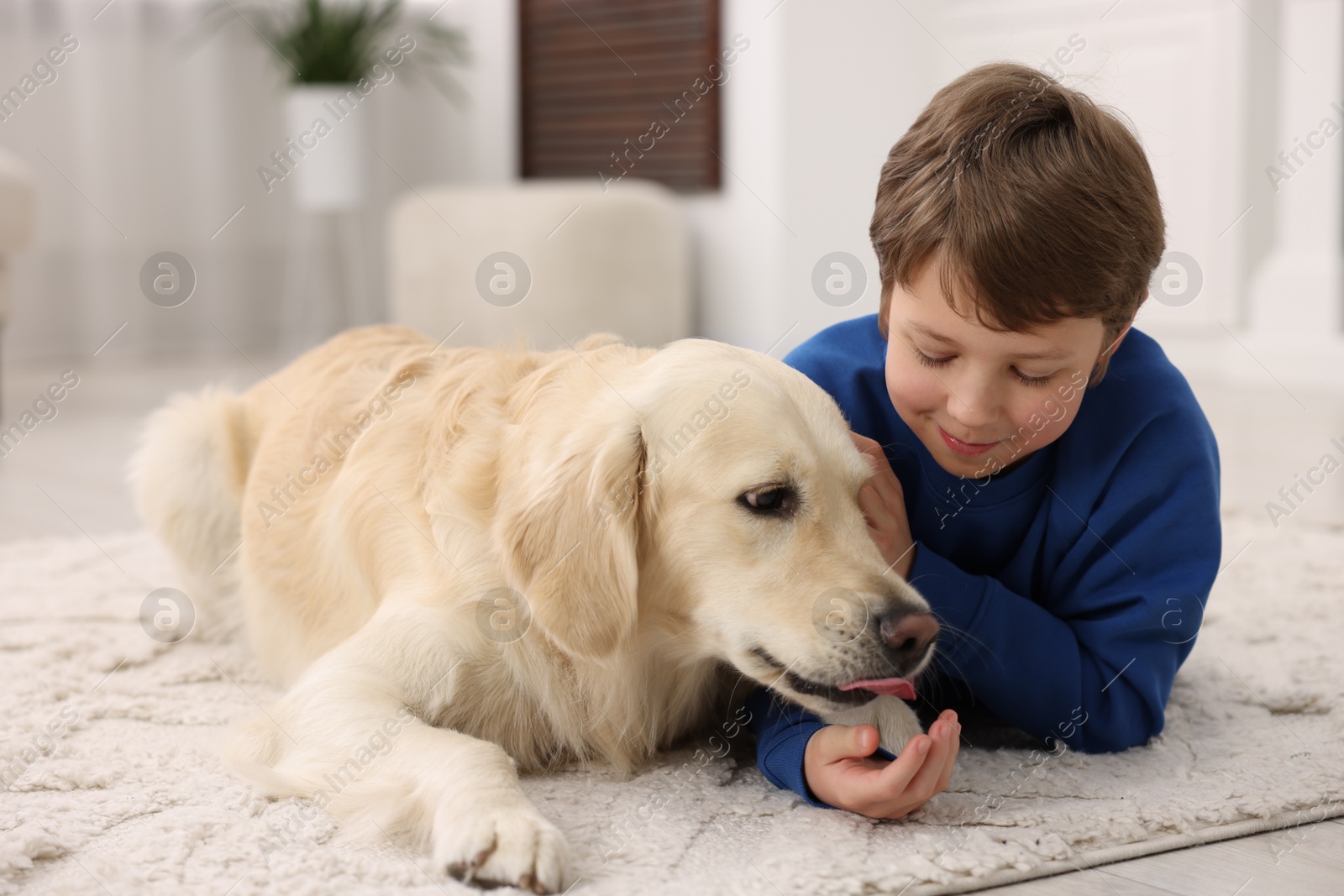 Photo of Boy with his cute dog at home