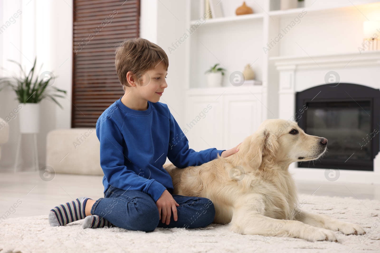 Photo of Boy with his cute dog at home