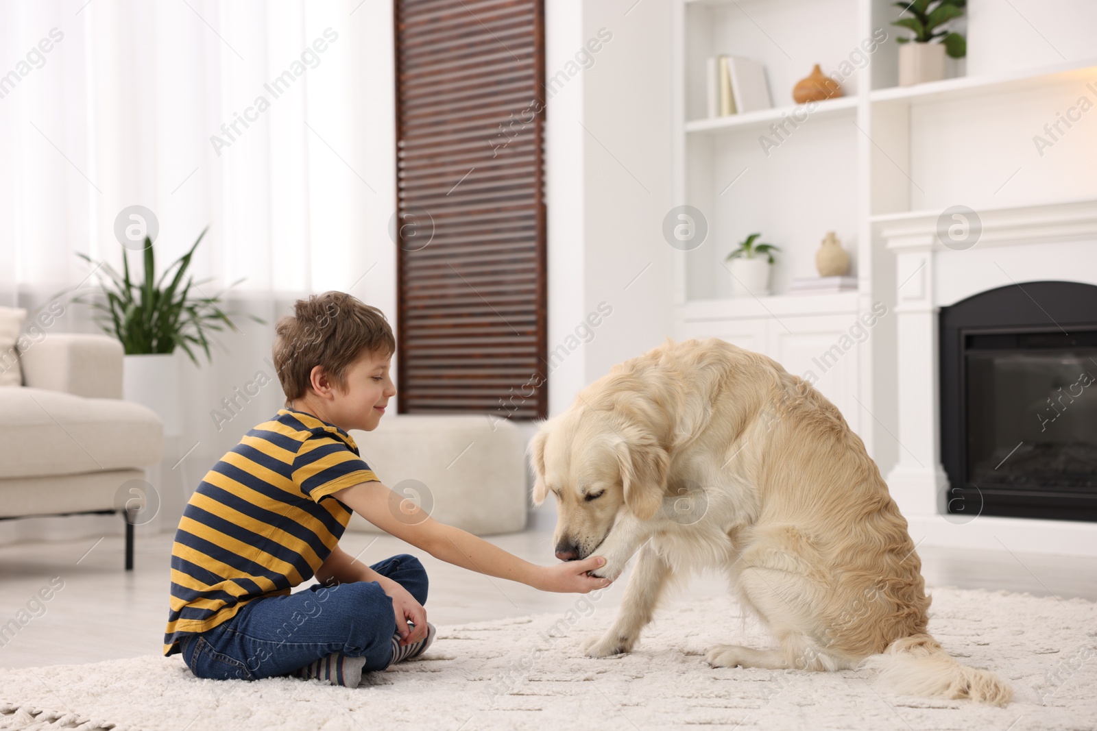 Photo of Boy training his cute dog at home