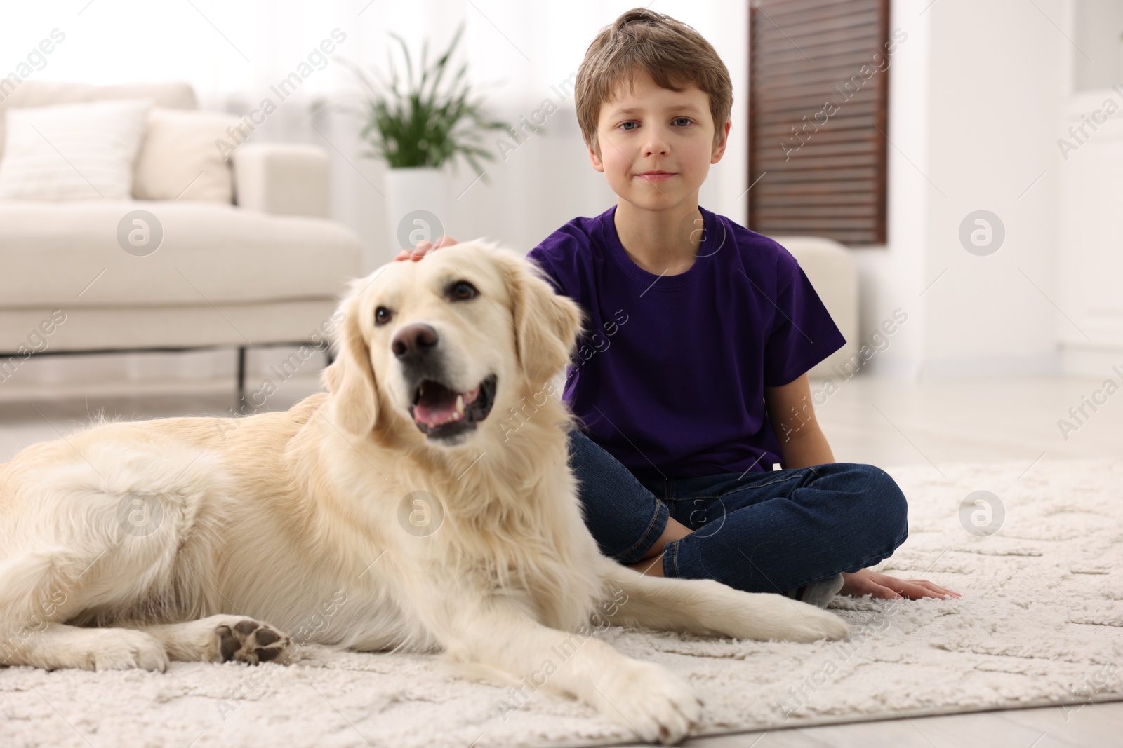 Photo of Boy with his cute dog at home