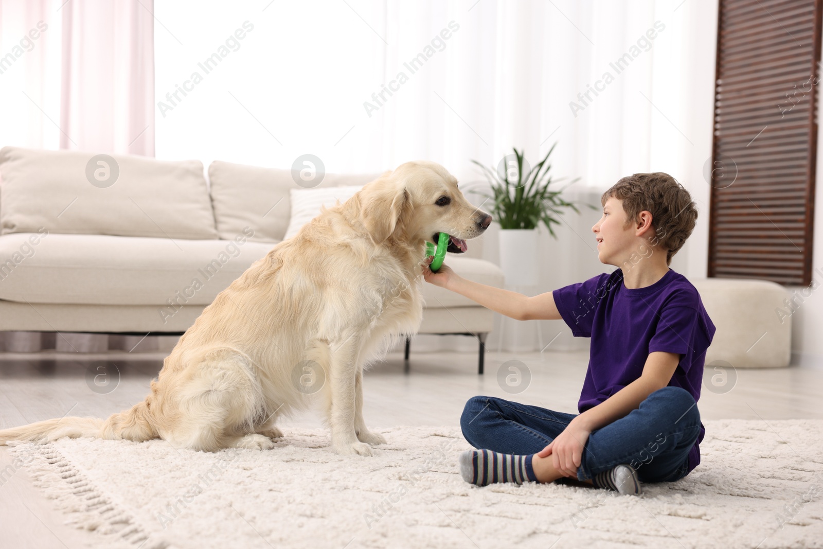 Photo of Boy playing with his cute dog at home