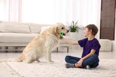 Boy playing with his cute dog at home