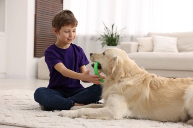 Boy playing with his cute dog at home