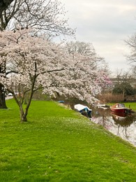 Photo of Picturesque view of canal with moored boats and blossoming trees in spring