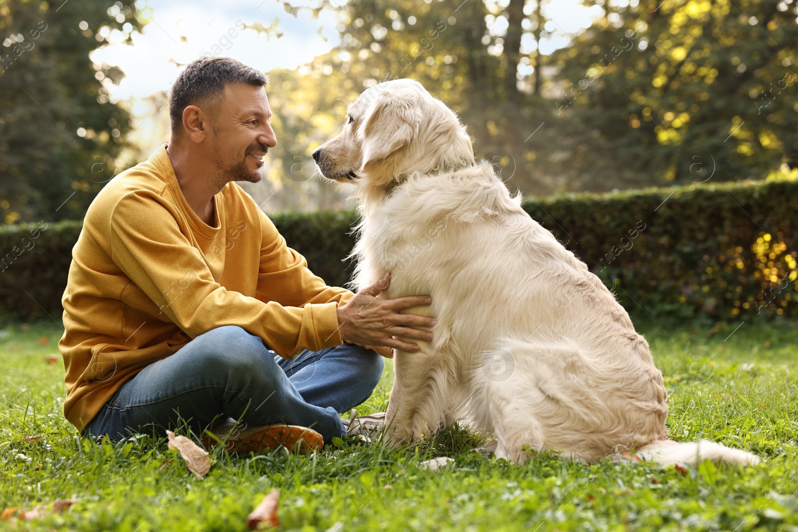 Photo of Smiling man with cute Golden Retriever dog on spring day