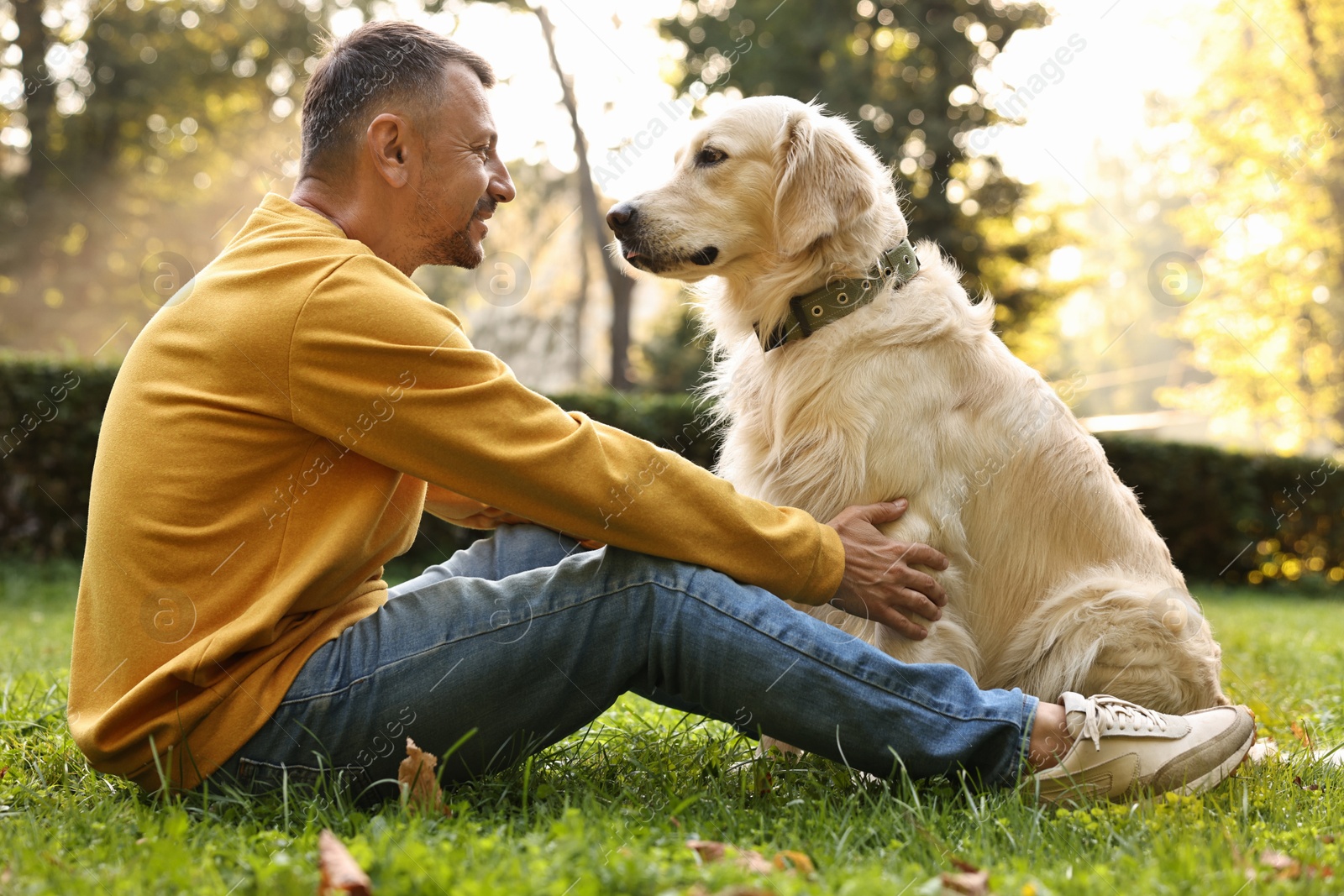 Photo of Smiling man with cute Golden Retriever dog on spring day