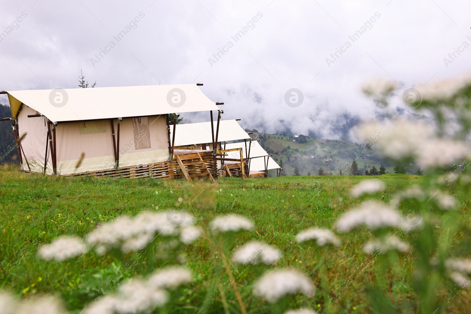 Photo of Many tents and forest covered with fog in mountains. Glamping site