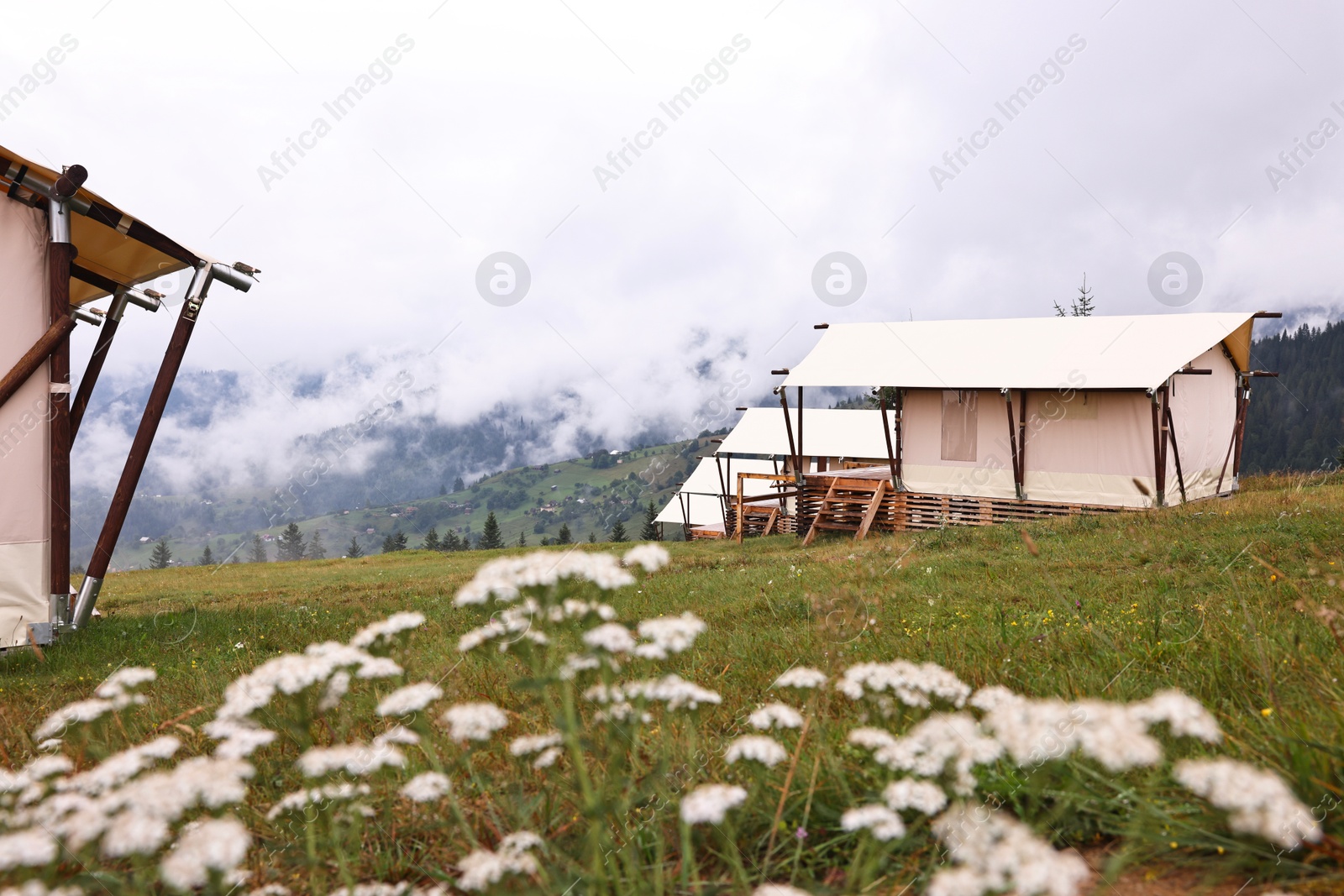 Photo of Many tents and forest covered with fog in mountains. Glamping site