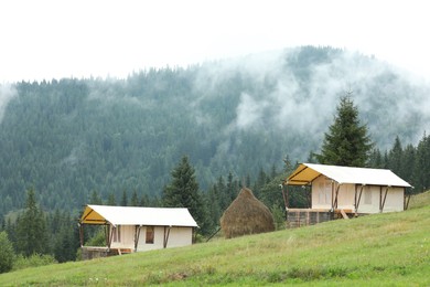 Green forest and tents in mountains. Glamping site