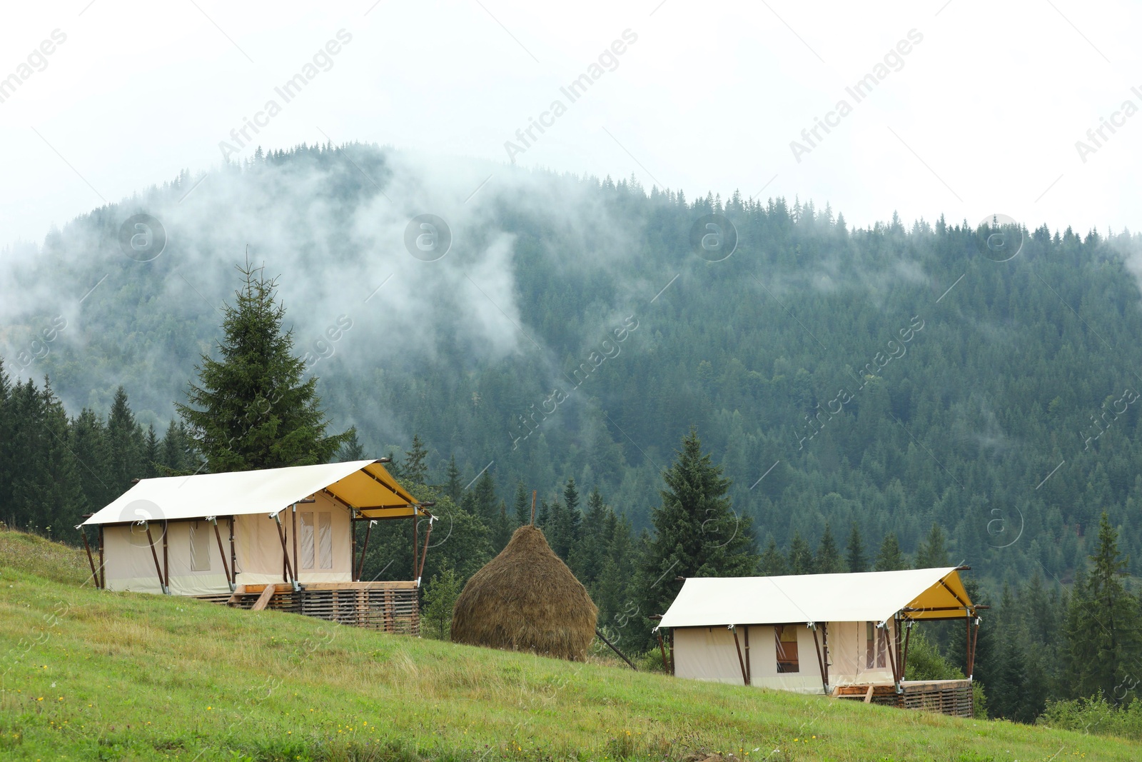 Photo of Green forest and tents in mountains. Glamping site