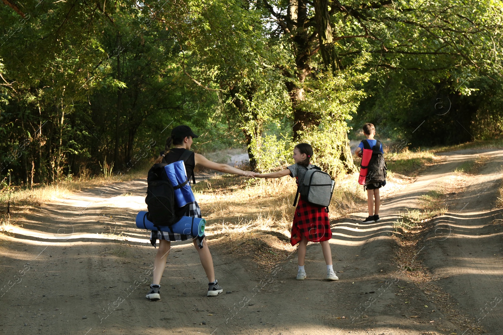 Photo of Family with backpacks travelling in beautiful forest, back view