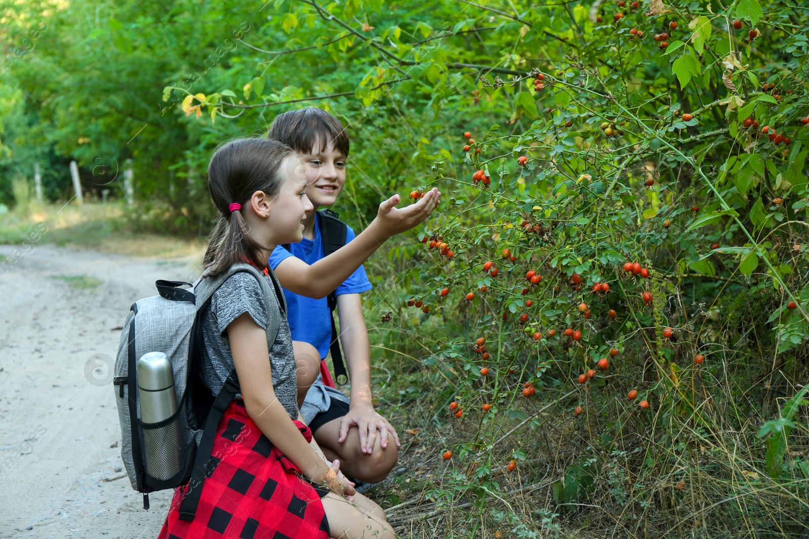 Photo of Brother and sister exploring shrub with berries outdoors