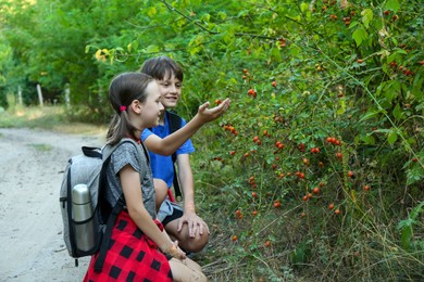 Photo of Brother and sister exploring shrub with berries outdoors