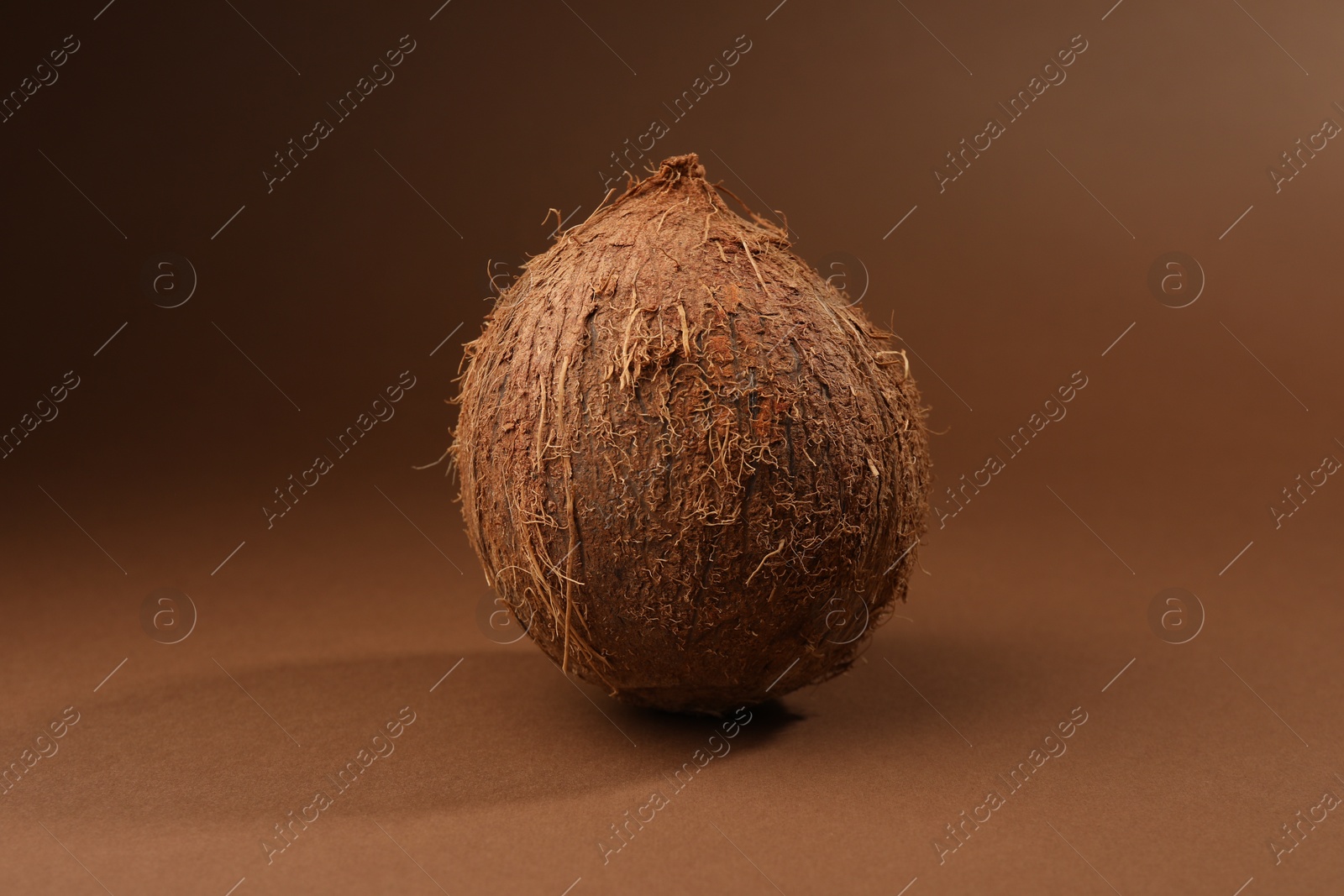 Photo of One whole coconut in shell on brown background