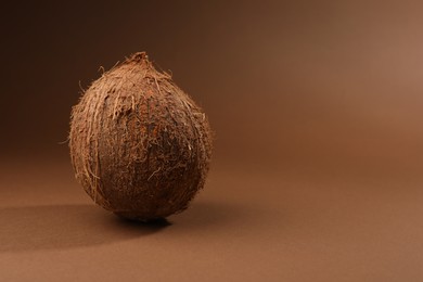 One whole coconut in shell on brown background, space for text