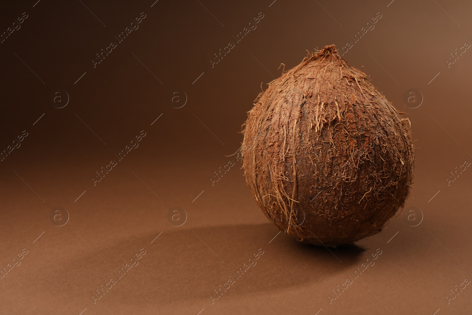 Photo of One whole coconut in shell on brown background, space for text