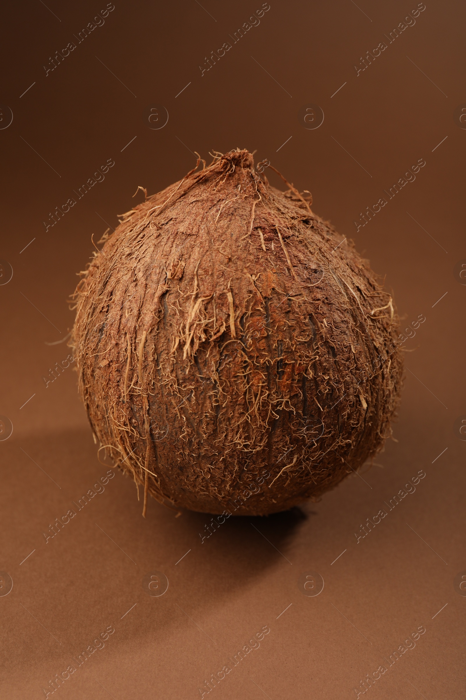 Photo of One whole coconut in shell on brown background