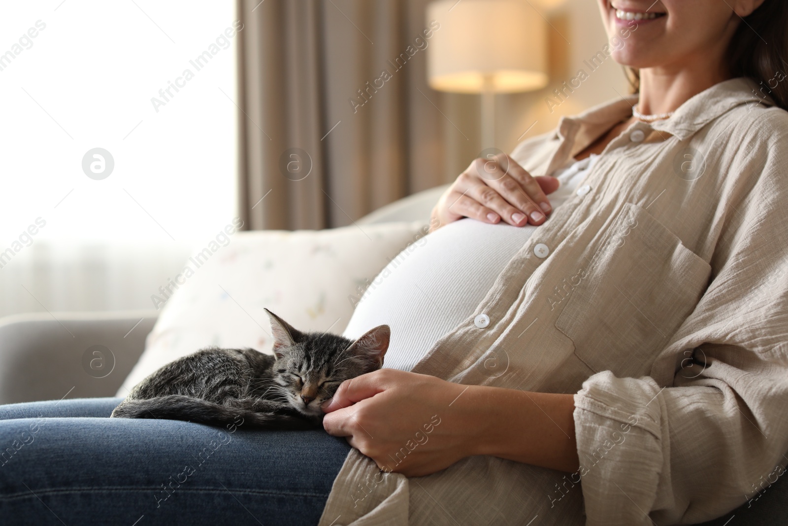 Photo of Pregnant woman with cute cat sleeping at home, closeup