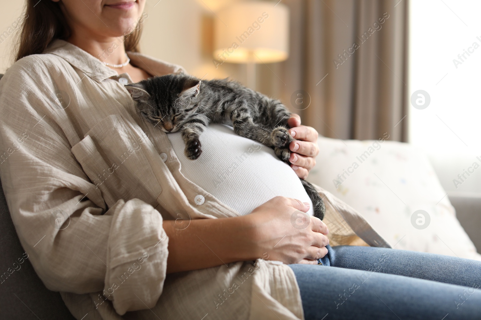 Photo of Pregnant woman with cute cat sleeping on her belly at home, closeup