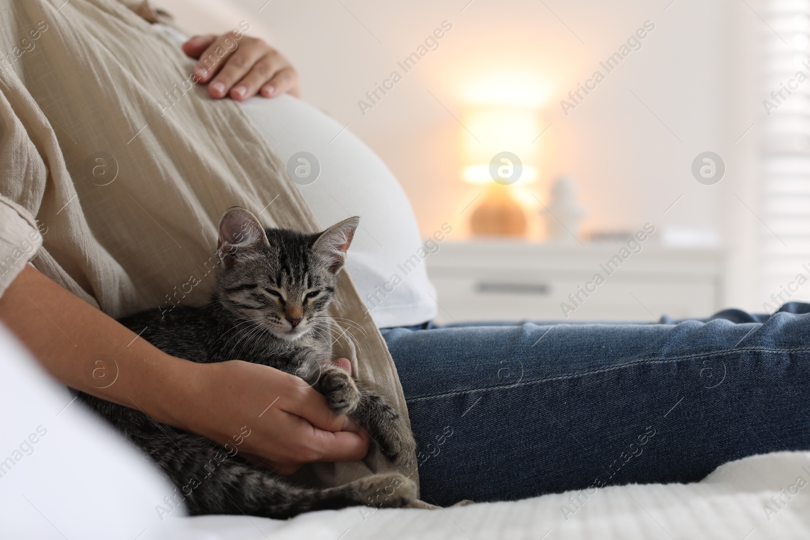 Photo of Pregnant woman with cute cat sleeping at home, closeup