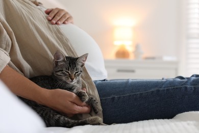 Pregnant woman with cute cat sleeping at home, closeup