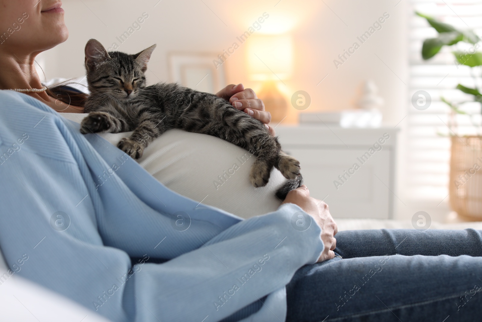 Photo of Pregnant woman with cute cat sleeping on her belly at home, closeup