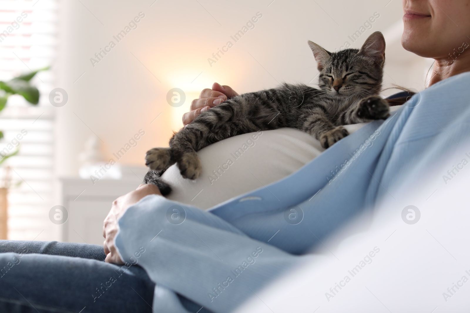 Photo of Pregnant woman with cute cat sleeping on her belly at home, closeup