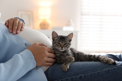 Pregnant woman with cute cat at home, closeup