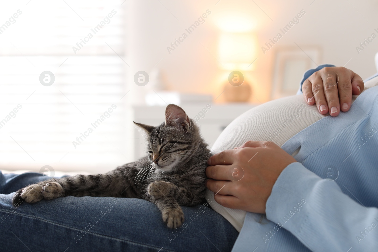 Photo of Pregnant woman with cute cat sleeping at home, closeup