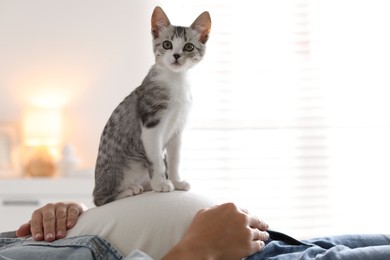 Photo of Pregnant woman with cute cat on her belly at home, closeup