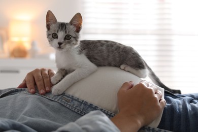 Photo of Pregnant woman with cute cat on her belly at home, closeup