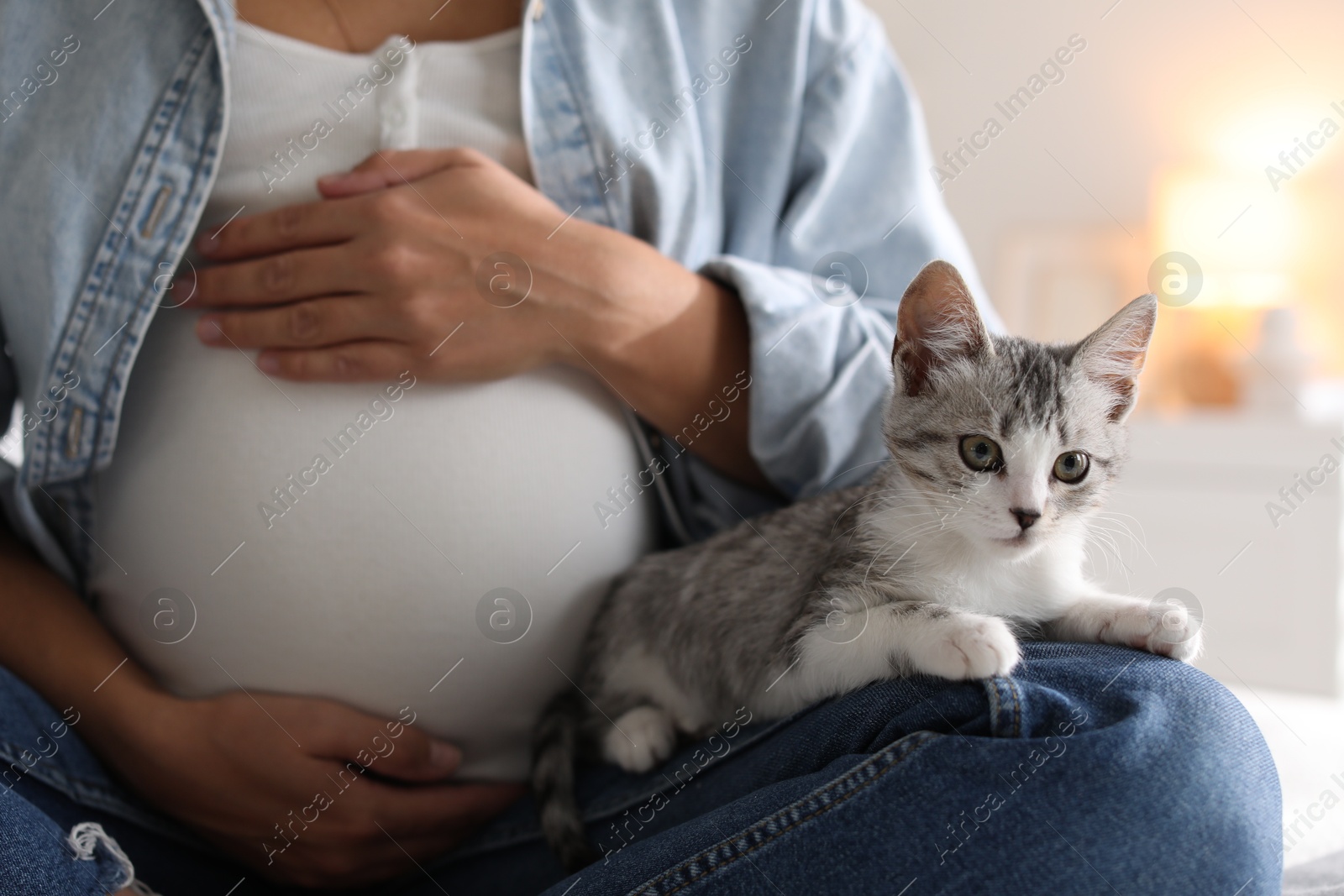 Photo of Pregnant woman with cute cat at home, closeup