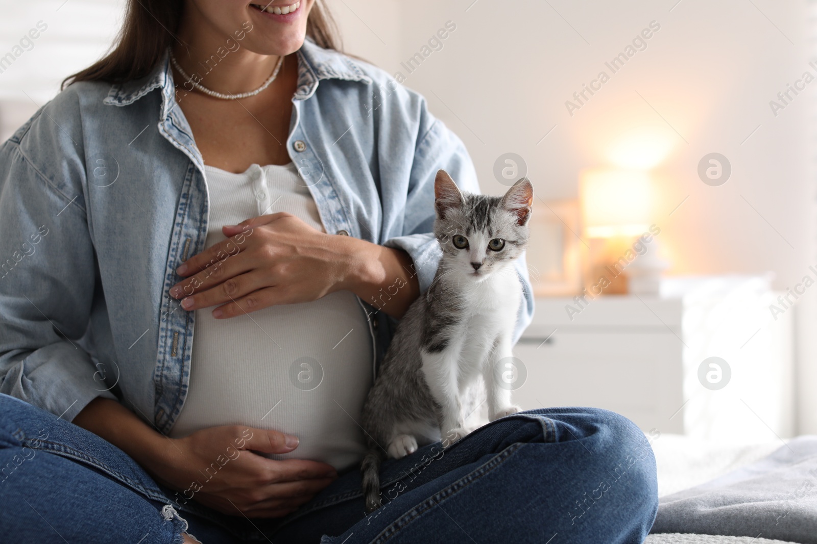 Photo of Pregnant woman with cute cat at home, closeup