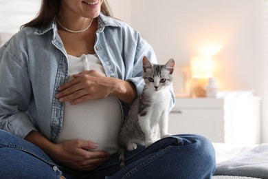 Pregnant woman with cute cat at home, closeup