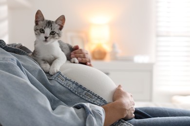 Pregnant woman with cute cat on her belly at home, closeup