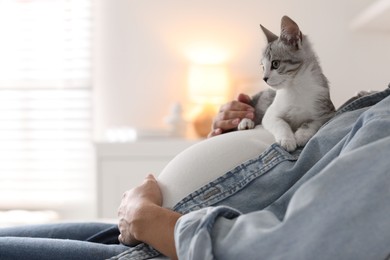 Pregnant woman with cute cat on her belly at home, closeup