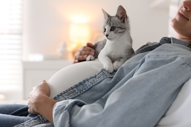 Photo of Pregnant woman with cute cat on her belly at home, closeup