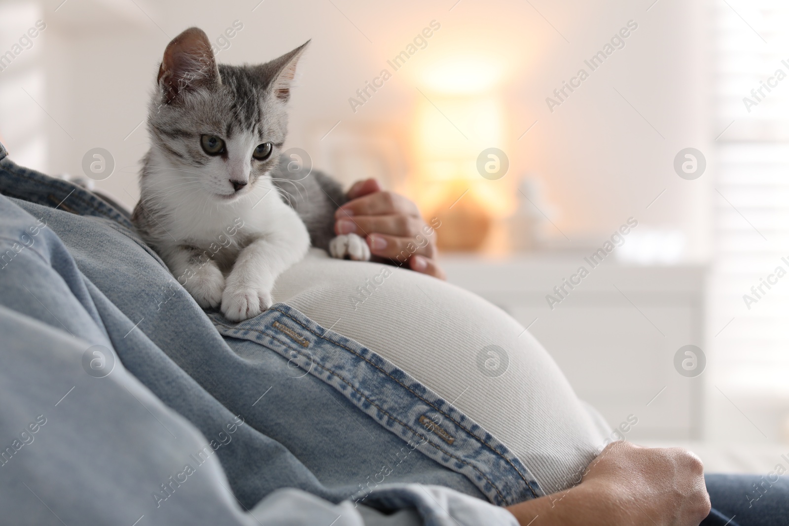 Photo of Pregnant woman with cute cat at home, closeup