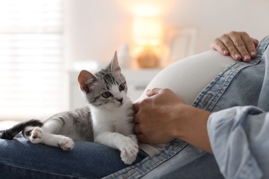 Pregnant woman with cute cat at home, closeup