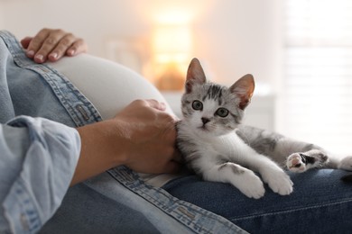 Pregnant woman with cute cat at home, closeup