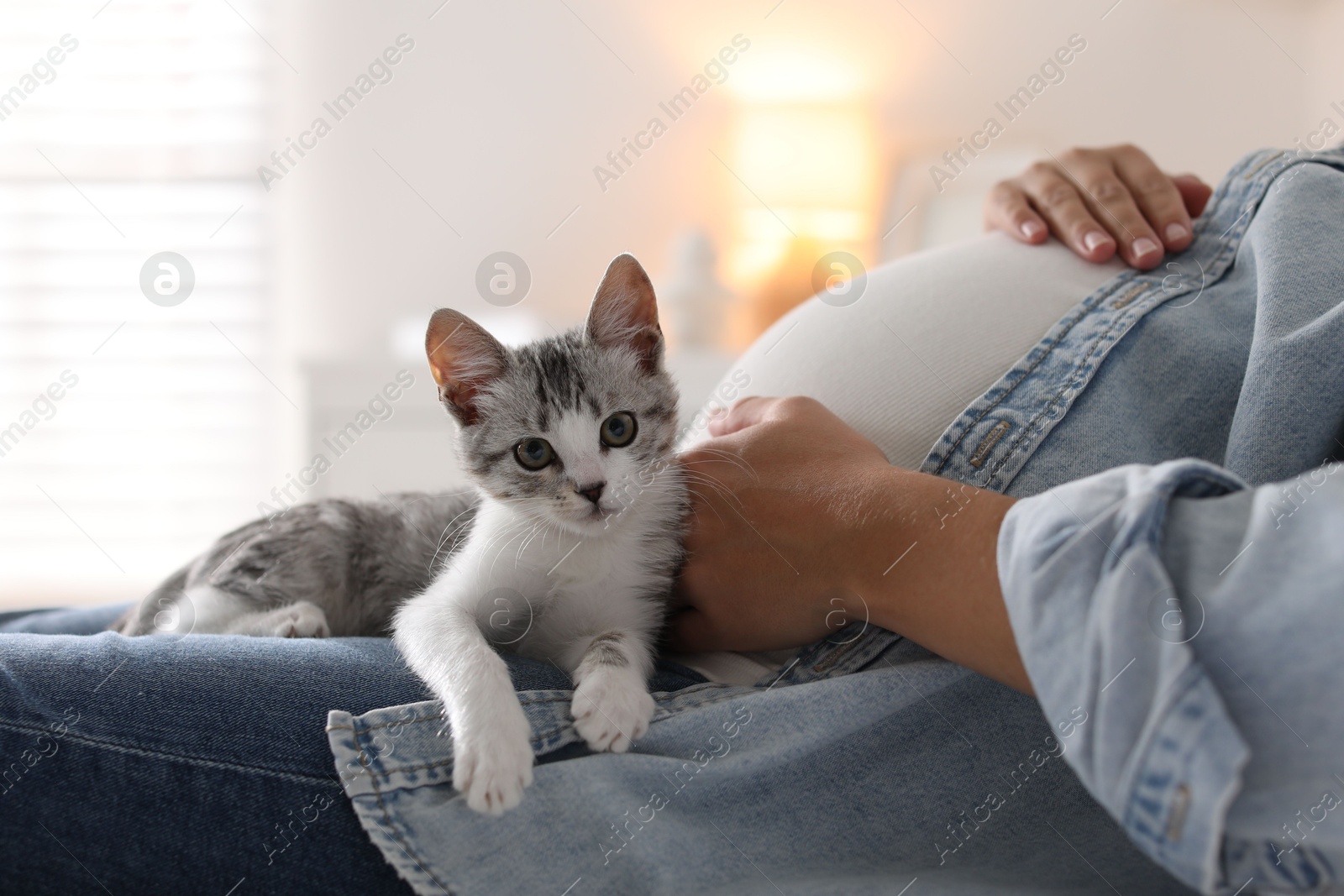 Photo of Pregnant woman with cute cat at home, closeup