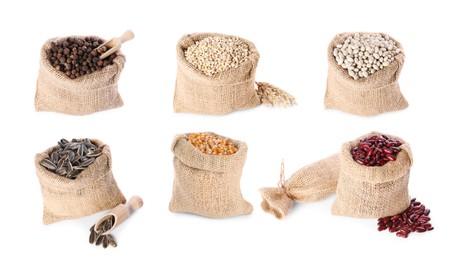 Image of Burlap bags with different beans and seeds isolated on white, set