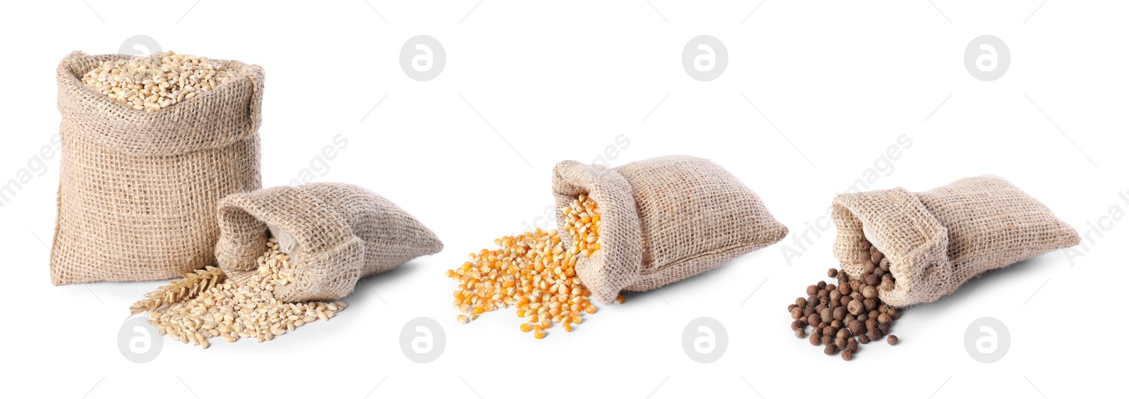 Image of Burlap bags with pearl barley, corn seeds and peppercorns isolated on white, set