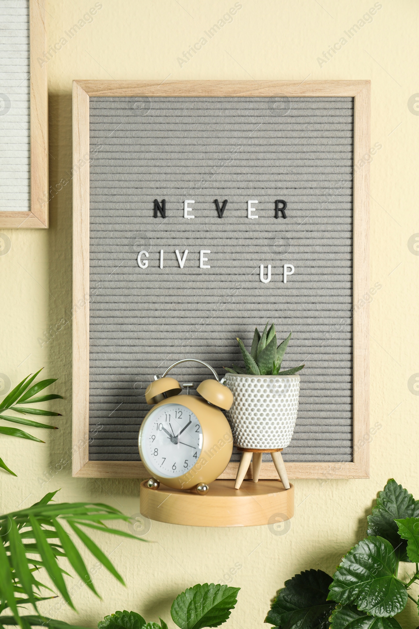 Photo of Letter boards with phrases Let It Be, Never Give Up, alarm clock and plants on beige wall